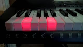 Jamming on my new Casio LK-265 Jamming on my new Casio LK-265
