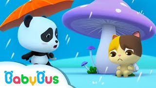 Baby Panda's Umbrella | Baby Kitten Looks for Shelter From Rain | BabyBus Cartoo