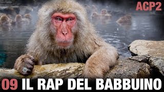 ANIMALI CHE PARLANO 2 – Il rap del babbuino