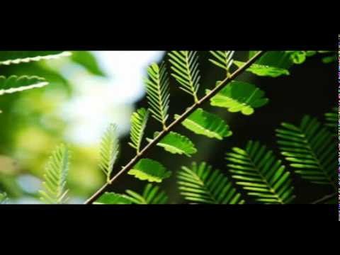 คลั่ง (mad) - boyd บอยโกสิยพงษ์ thumb