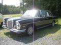 1966 Mercedes-Benz 250SE 4spd Start Up, Engine, and In Depth Tour