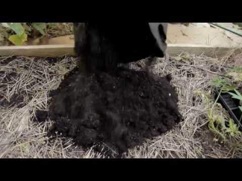10 Gal. Smart Pot Potato Harvest This Is The Harvest Of My Potatoes Grown In A 10 Gallon Smart Pot Container