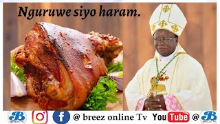 Majibu Sahihi Kuhusu Nyama Ya Nguruwe Kwa Wakatolikipadre Kutengwa Na Kanisakufukiza Ubani Nk.