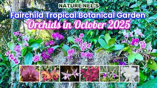 1 Hour Of Educational Fun While Walking Through A Paradise Of Orchids And Other Amazing Beauties.