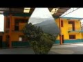 como se mata el gusano