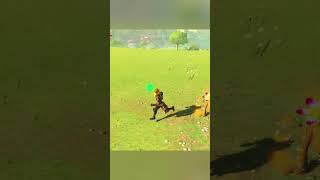 Korok Guide Find Korok Seeds In Zelda Breath Of The Wild