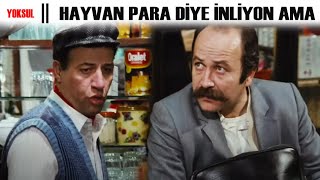 Yoksul Hayvan Işinca Para Di̇ye İnli̇yon Ama