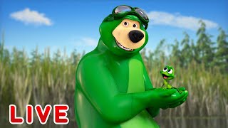 🔴 LIVE STREAM 🎬 Masha and the Bear 🐻👱♀️ Days of our lives 🤸♀️✨