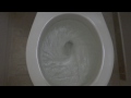 Early 1960s American Standard Cadet Flush