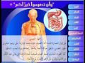 العادة السرية - الشيخ كشك 2_1.flv