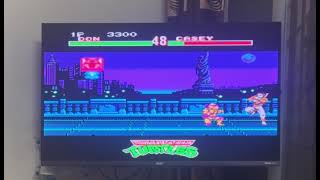 Donatello Vs Casey Jones Teenage Mutant Ninja Turtles Tournament Fighters
