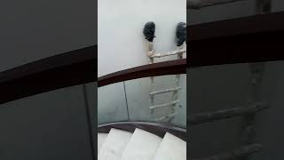 Round Staircase Railing