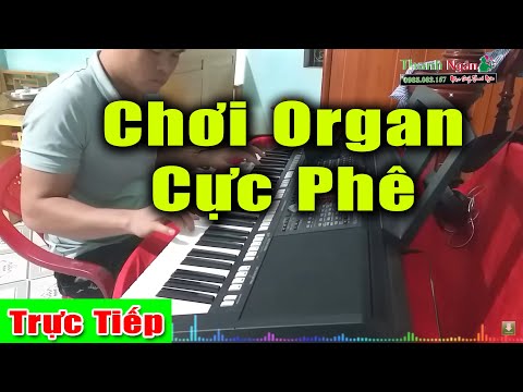 🔴 Nhạc Sống Thanh Ngân Chọn Lọc Hay Nhất - Chơi Đàn Chuyên Nghiệp Cực Phê - Không Quảng Cáo