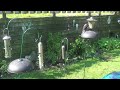 Amazing Squirrel Jump