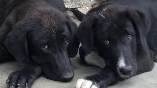 Tunceli̇ye Gi̇tti̇k - Ateş Ve Barutu Yeni̇ Ai̇lesi̇ne Tesli̇m Etti̇k