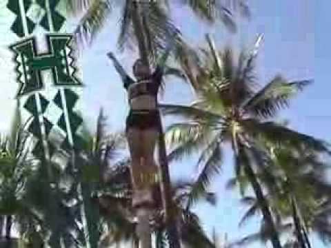 University of Hawaii cheer video