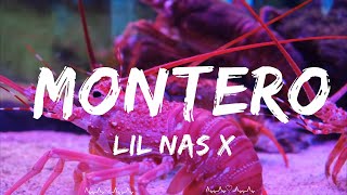Lil Nas X - MONTERO (Call Me By Your Name)  || Soren Music