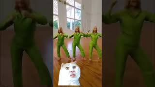 What is going on here? #dance #cat #greenscreen #shorts #explore