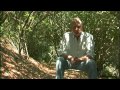 Carbon Nation Doentary Hd images Carbon Nation Doentary Hd