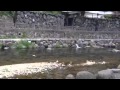 リゾートバイトのアプリ☆長門湯本温泉:山口県