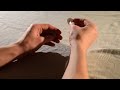 10 IMPOSSIBLE Coin Tricks Anyone Can Do | Revealed