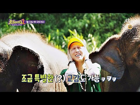뭉쳐야 뜬다(Package tour)2 11회 예고편