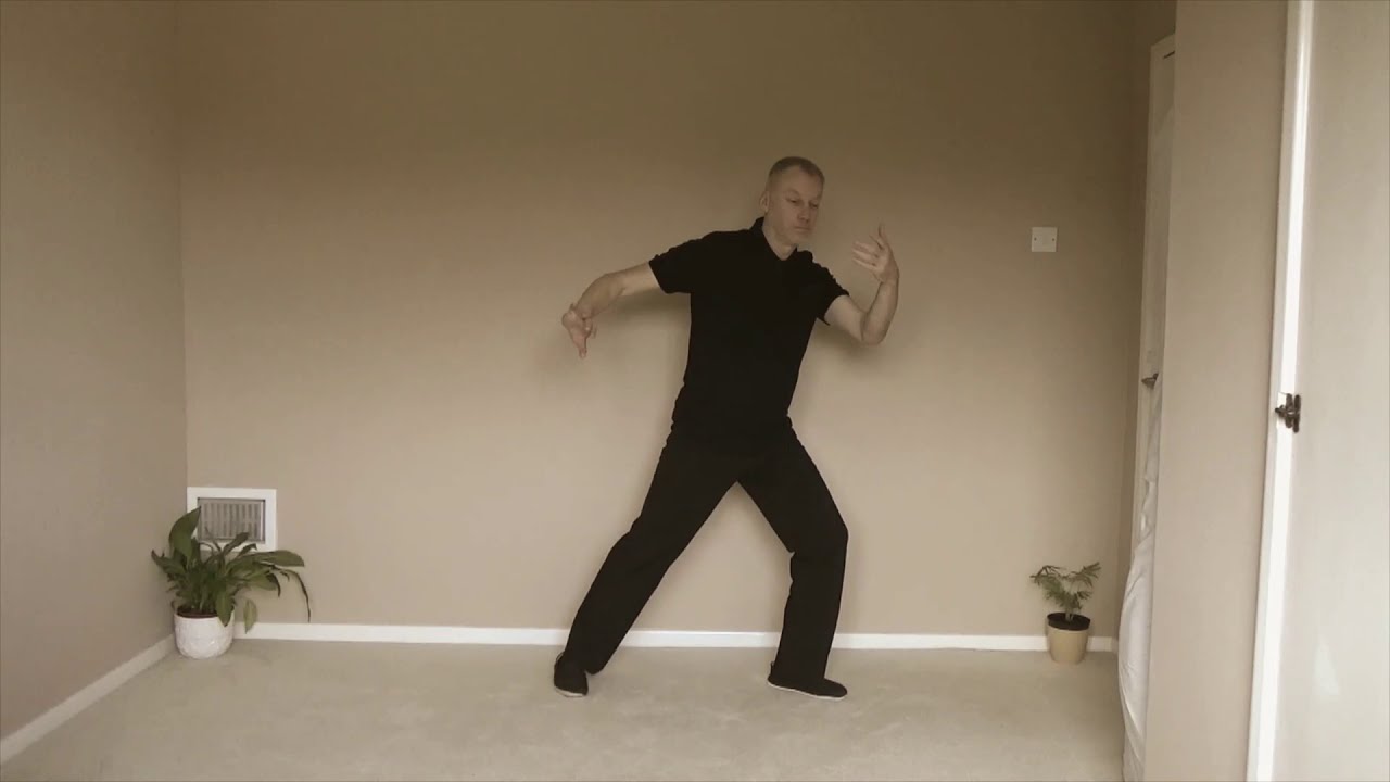 All Videos