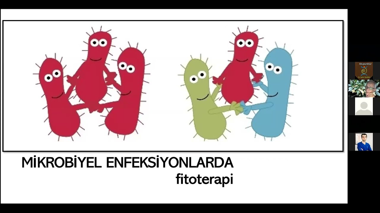 istakupder