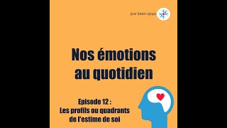 #12 Nos émotions au quotidien : les profils ou quadrants de l'estime de soi