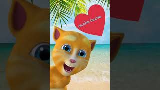 Baciya Aid Gulmeli Vidiowhatsap Ücün