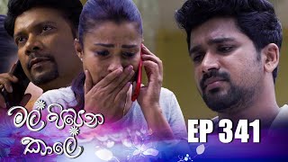 Mal Pipena Kale | Episode 341 24th January 2023 