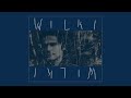 Wilki Son Of Blue Sky Official Audio images Wilki Son Of Blue Sky Official Audio