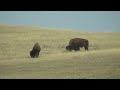 A trucker's song (truckin in montana)