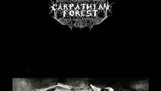 Watch Carpathian Forest Black Shining Leather video