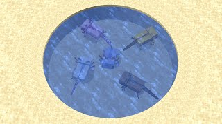 Perfectly Round Pool For Axolotl