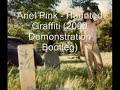 Ariel Pink - Haunted Graffiti from "The Doldrums" (2000 Demonstration Bootleg)