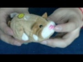 Zhu Zhu Pets Hamster Mr. Pip Go GO Toy