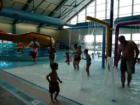 aquatic community