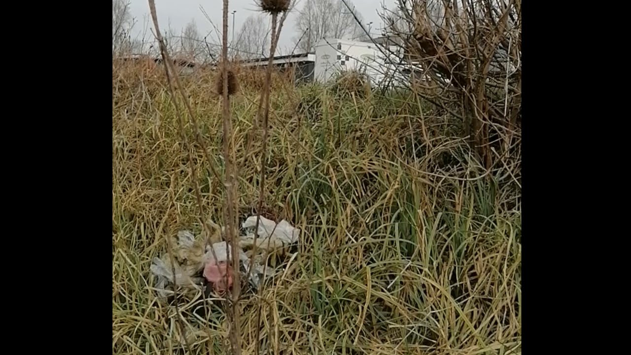 THAME WOMBLES CHANNEL