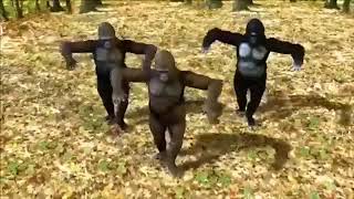 Nonsonicists People In Description Irl