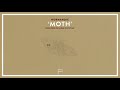 Moth Video preview