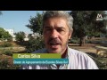 Video AEC Silves Sul Video AEC Silves Sul