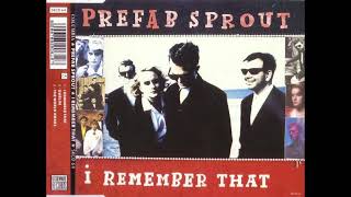 Watch Prefab Sprout The World Awake video