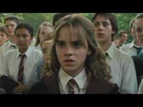 Hermione Granger and Draco