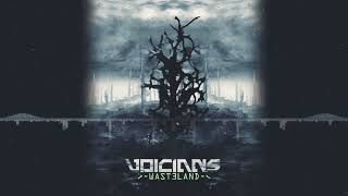 Watch Voicians The Only Friend video