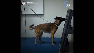 Unodc In 60 Seconds - 25.07.2025