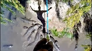 MAN AND BEAST - Part 49