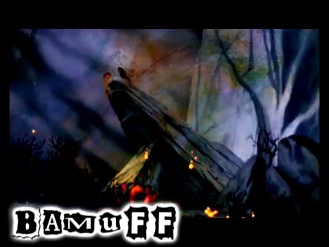 animat