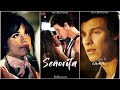 Señorita fullscreen whatsapp status | Shawn | Camila Cabello | Senorita Status | English Song Status