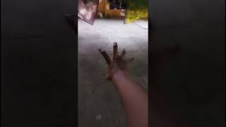 Run... Moru Kutti Bayandhutan